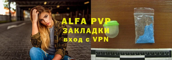 тгк Новозыбков