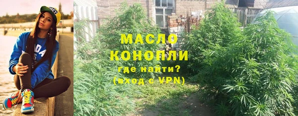 тгк Новозыбков