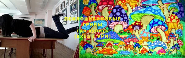 тгк Новозыбков