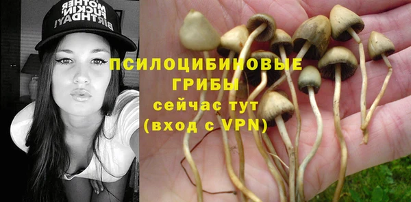 кристаллы Няндома