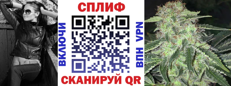 Бошки марихуана семена  Куровское 